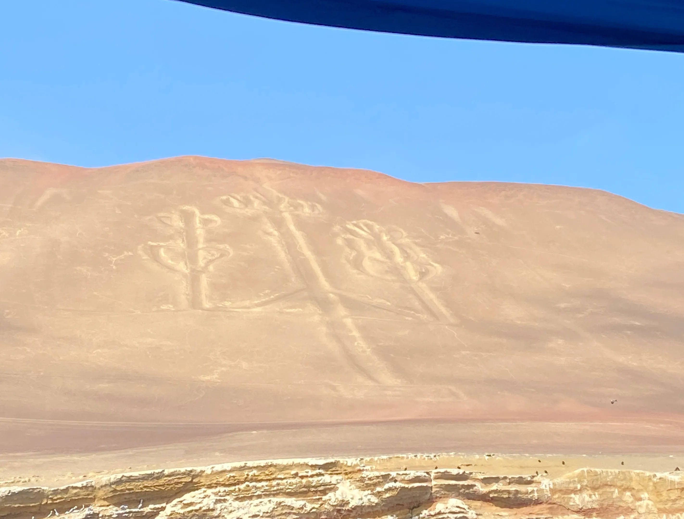 Full Day Paracas Ica desde Lima