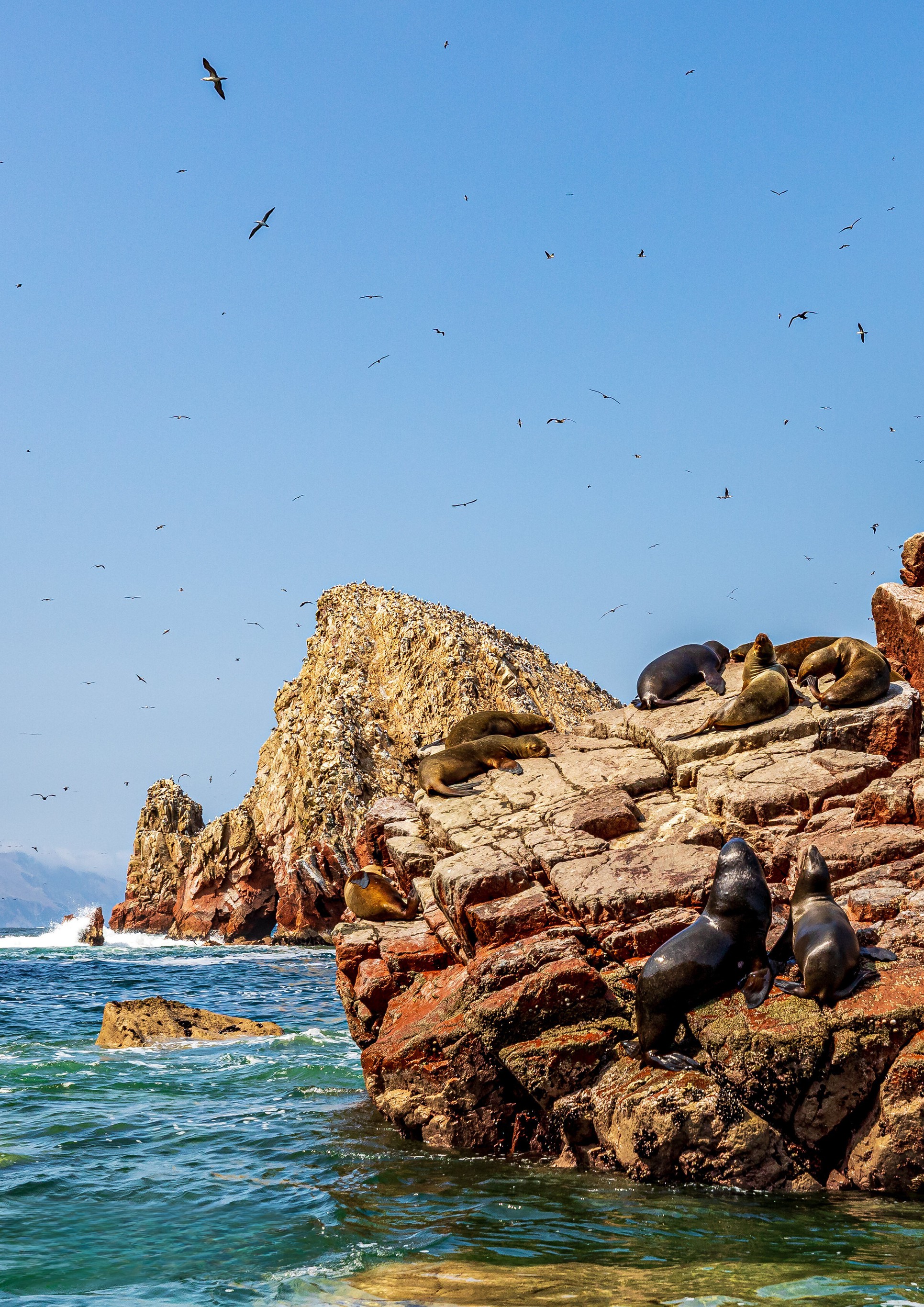 Tour Islas Ballestas